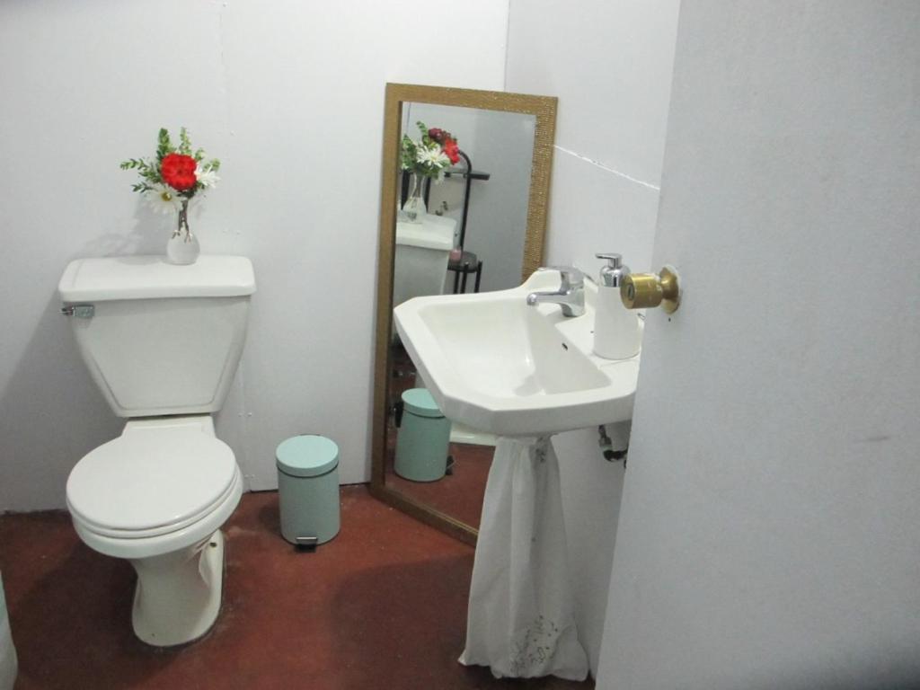 Habitaciones Centro Pucón Zewnętrze zdjęcie