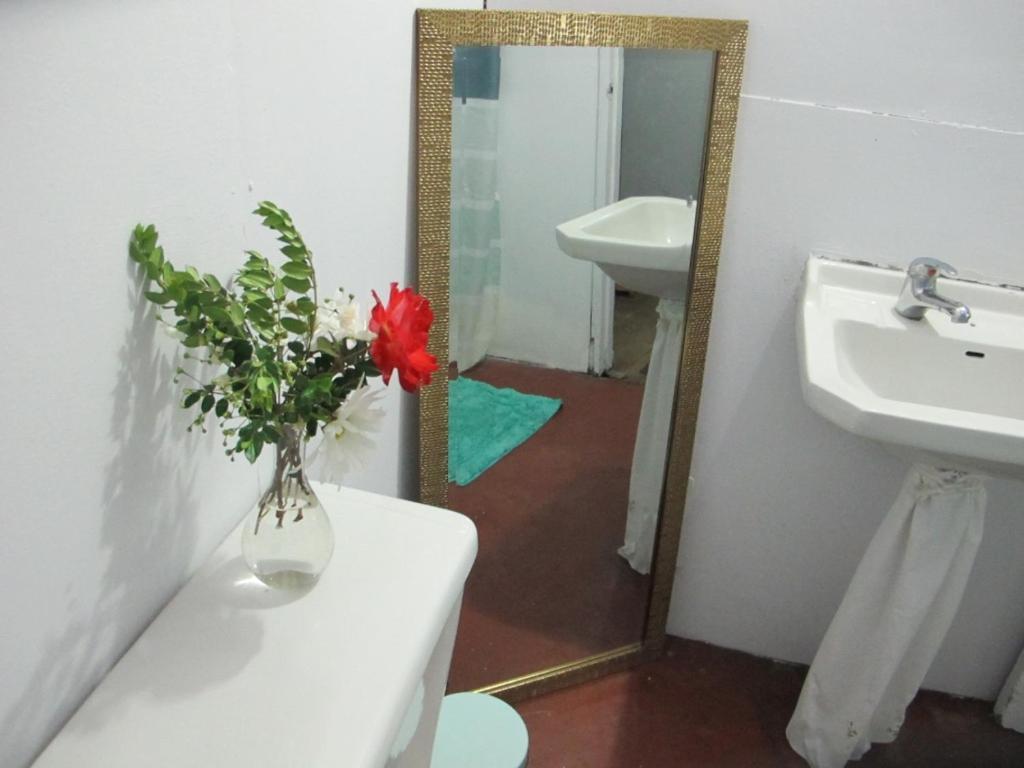 Habitaciones Centro Pucón Zewnętrze zdjęcie