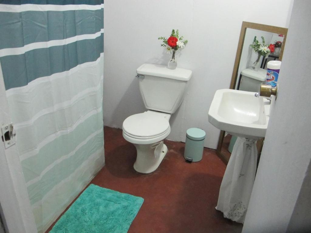 Habitaciones Centro Pucón Zewnętrze zdjęcie